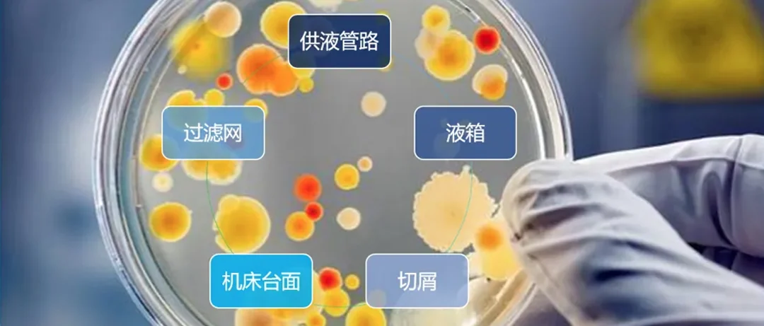 How Should Companies Deal with Bacterial Growth in Metalworking Fluids During Summer?
